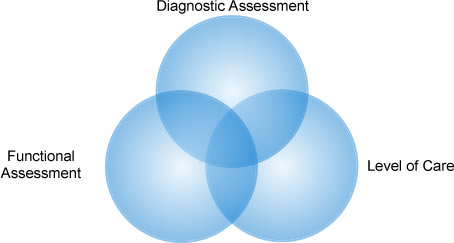 Three circles overlapping with Diagnostic Assessment, Level of Care, and Functional Assessment